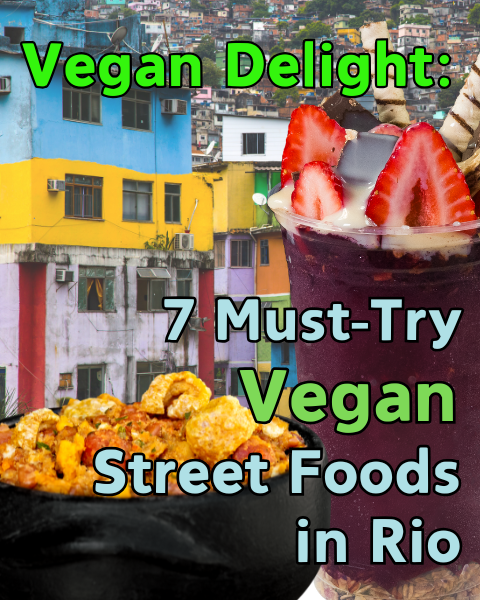 Vegan Delight 7 vegan street foods in Rio